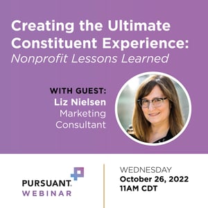 Creating the Ultimate Constituent Experience Nonprofit Lessons Learned webinar w Liz Nielsen6